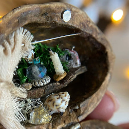 Handmade Walnut Shell Doll House--mini library, tiny World inside walnuts